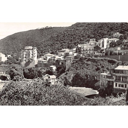 Rare collectable postcards of Algeria. Vintage Postcards of Algeria