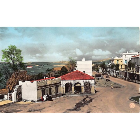 Rare collectable postcards of Algeria. Vintage Postcards of Algeria