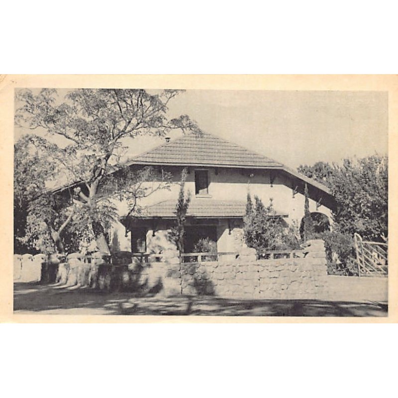 Rare collectable postcards of Algeria. Vintage Postcards of Algeria