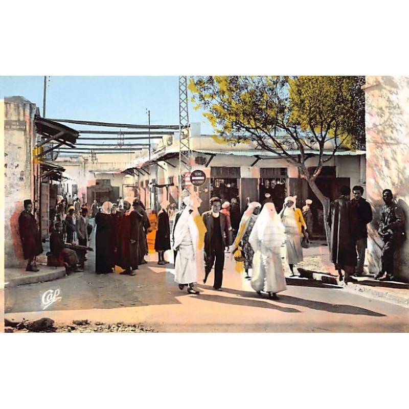 Rare collectable postcards of Algeria. Vintage Postcards of Algeria