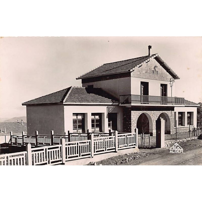 Rare collectable postcards of Algeria. Vintage Postcards of Algeria