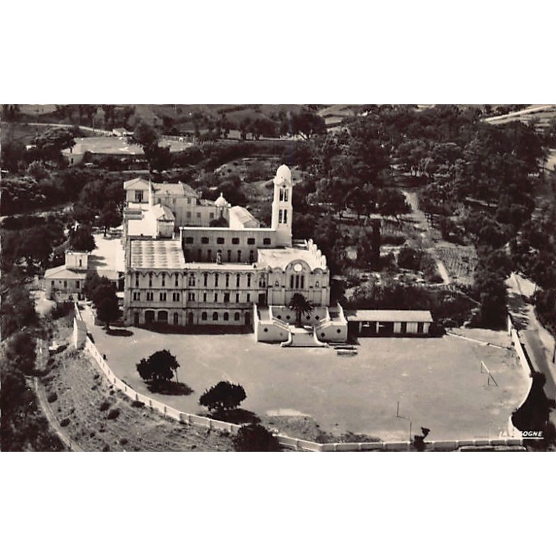 Rare collectable postcards of Algeria. Vintage Postcards of Algeria