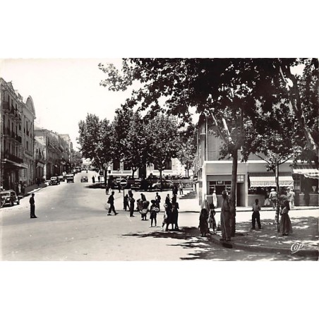 Rare collectable postcards of Algeria. Vintage Postcards of Algeria