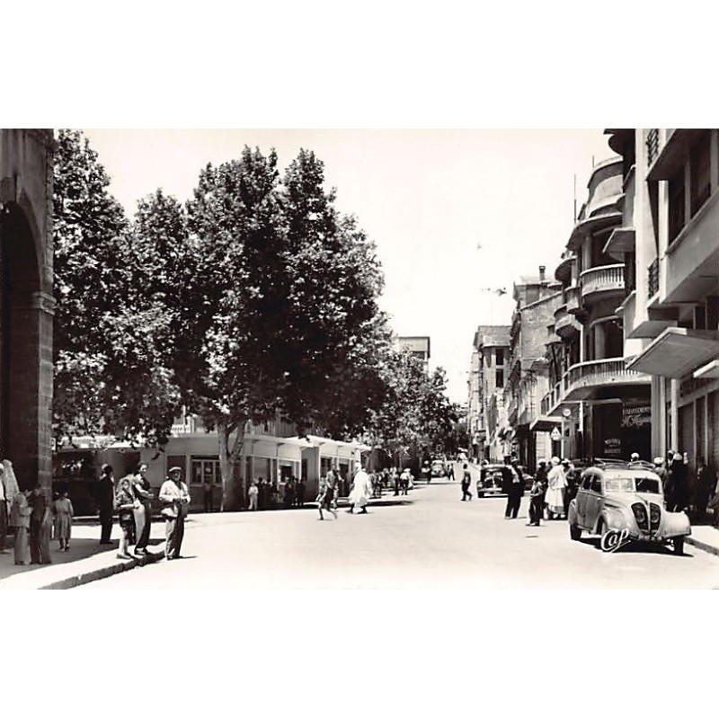 Rare collectable postcards of Algeria. Vintage Postcards of Algeria