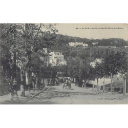 Rare collectable postcards of Algeria. Vintage Postcards of Algeria