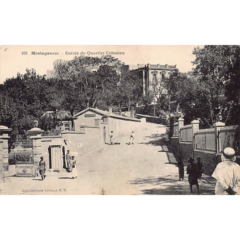 Rare collectable postcards of Algeria. Vintage Postcards of Algeria