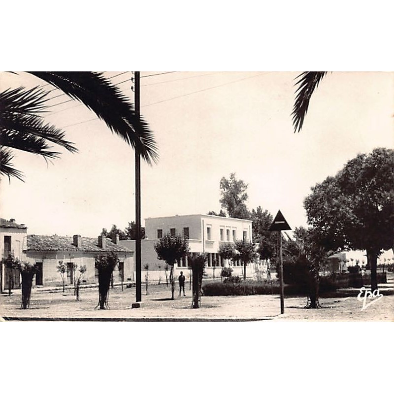 Rare collectable postcards of Algeria. Vintage Postcards of Algeria