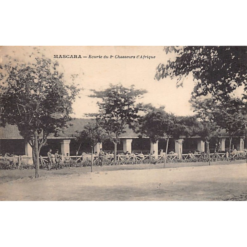 Rare collectable postcards of Algeria. Vintage Postcards of Algeria