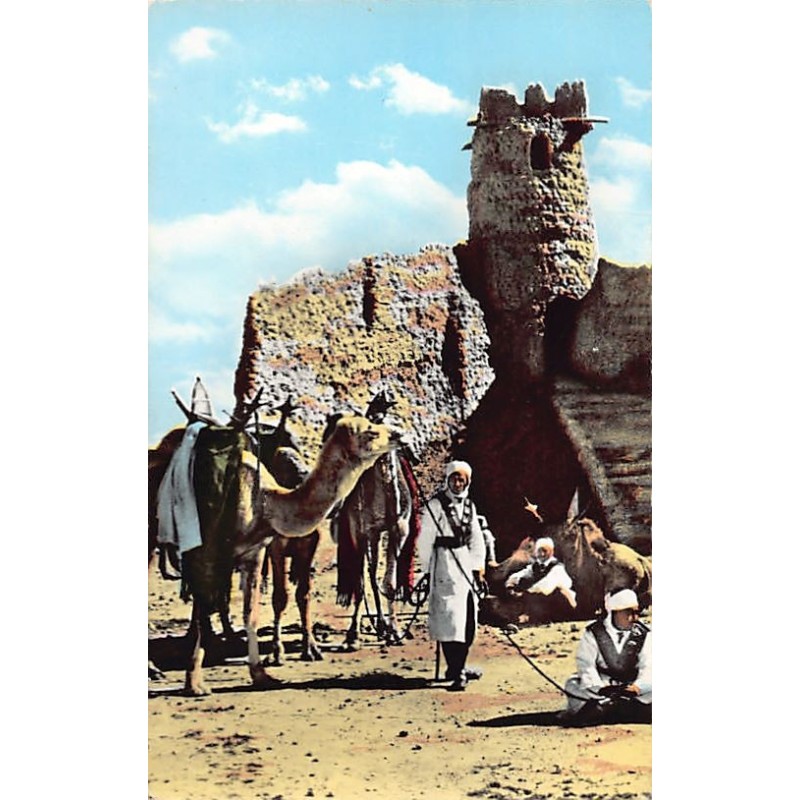 Rare collectable postcards of Algeria. Vintage Postcards of Algeria