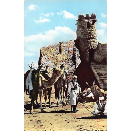 Rare collectable postcards of Algeria. Vintage Postcards of Algeria