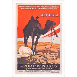 Rare collectable postcards of Algeria. Vintage Postcards of Algeria