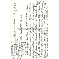 Rare collectable postcards of Algeria. Vintage Postcards of Algeria