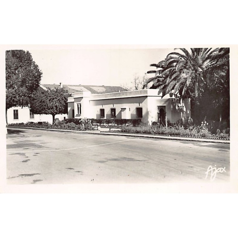 Rare collectable postcards of Algeria. Vintage Postcards of Algeria