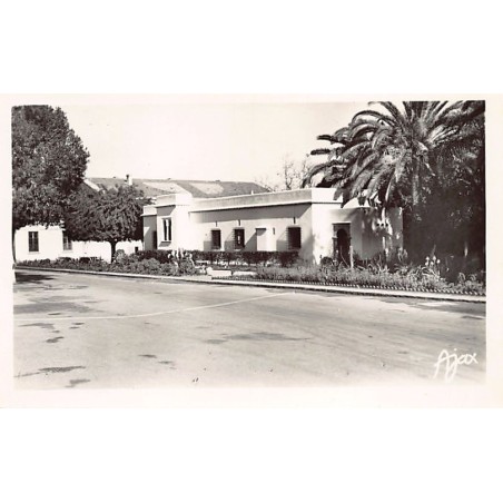 Rare collectable postcards of Algeria. Vintage Postcards of Algeria