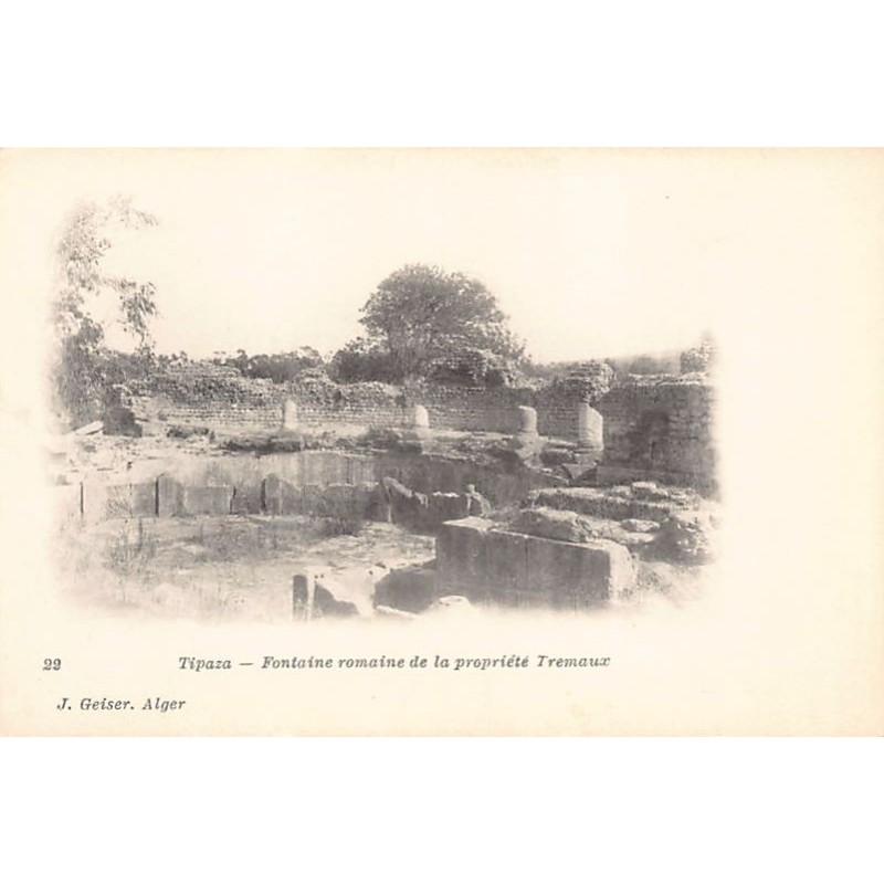 Rare collectable postcards of Algeria. Vintage Postcards of Algeria