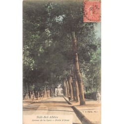 Rare collectable postcards of Algeria. Vintage Postcards of Algeria