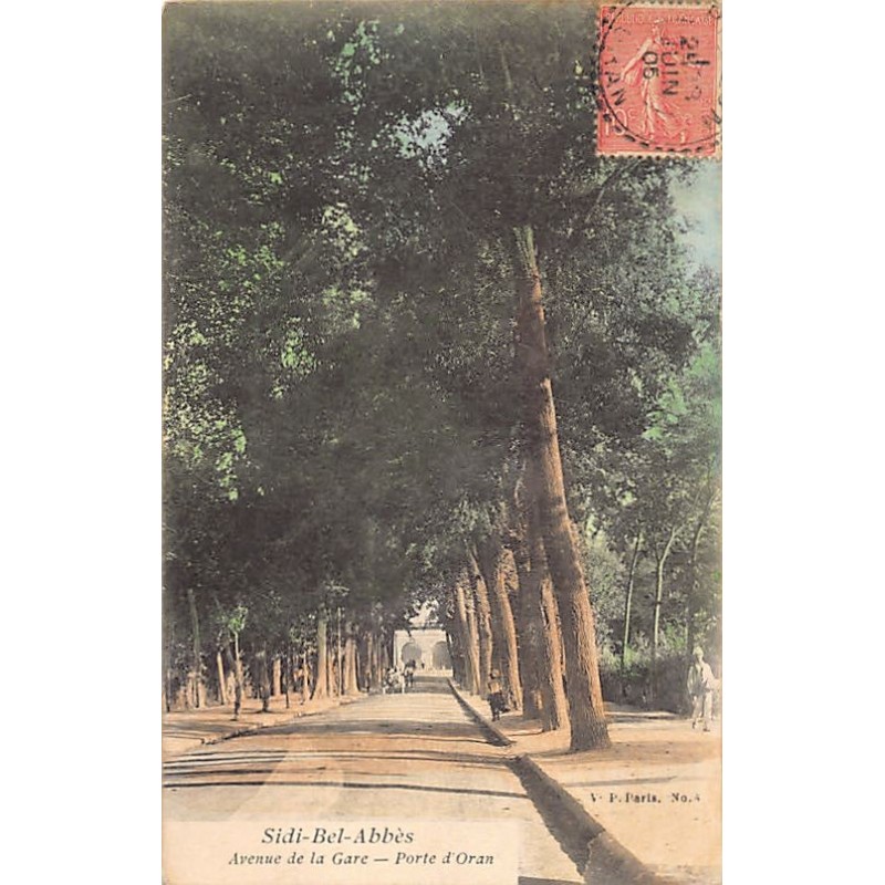 Rare collectable postcards of Algeria. Vintage Postcards of Algeria