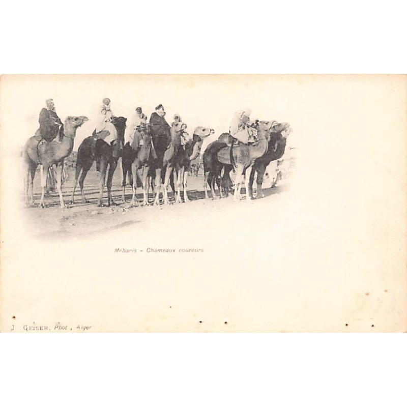 Rare collectable postcards of Algeria. Vintage Postcards of Algeria