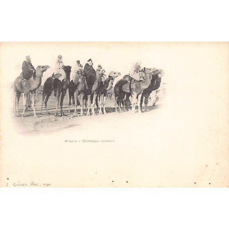 Rare collectable postcards of Algeria. Vintage Postcards of Algeria