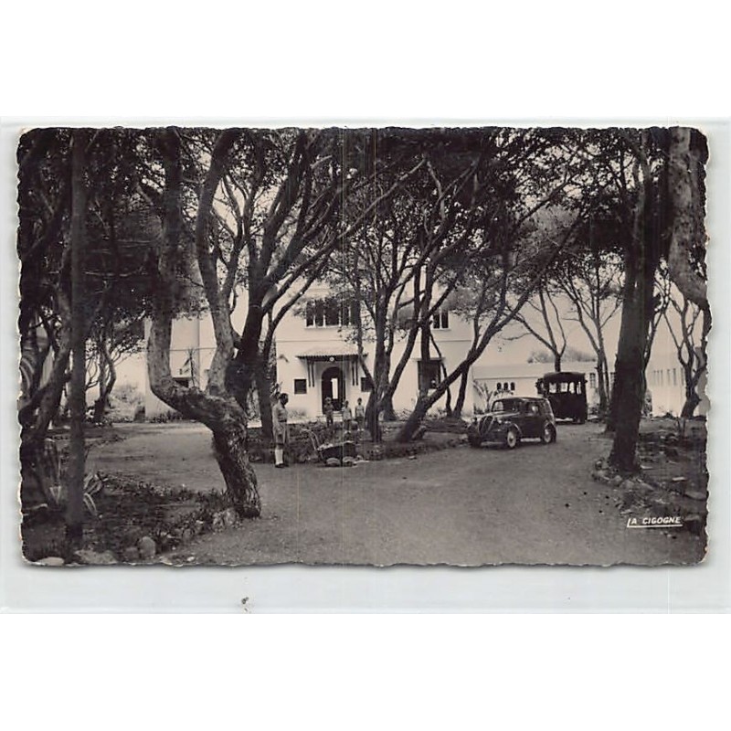 Rare collectable postcards of Algeria. Vintage Postcards of Algeria