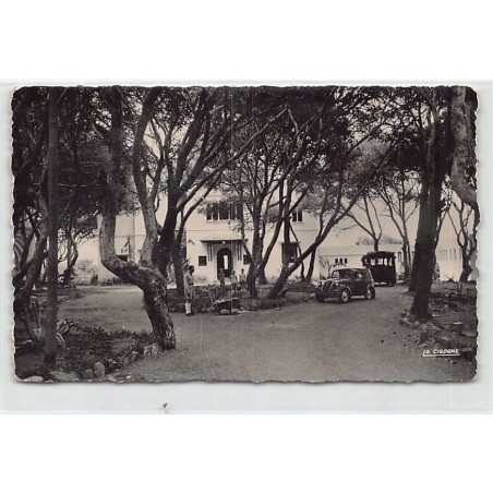 Rare collectable postcards of Algeria. Vintage Postcards of Algeria