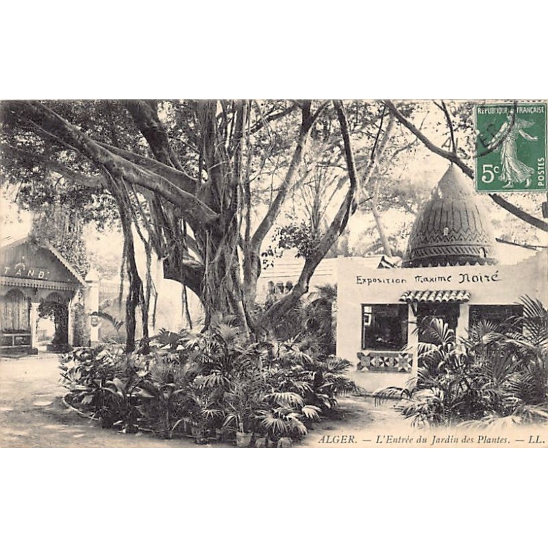 Rare collectable postcards of Algeria. Vintage Postcards of Algeria