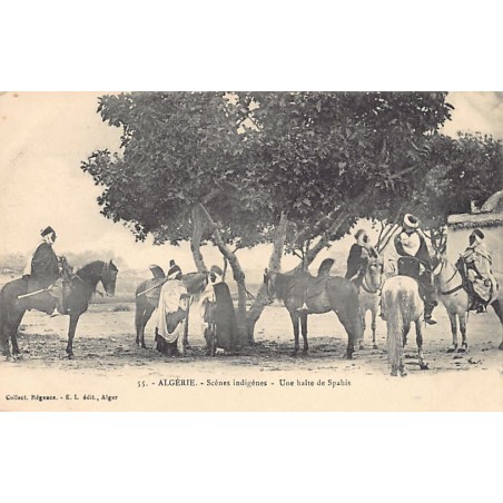 Rare collectable postcards of Algeria. Vintage Postcards of Algeria