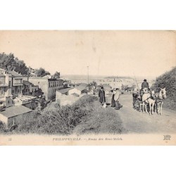 Rare collectable postcards of Algeria. Vintage Postcards of Algeria