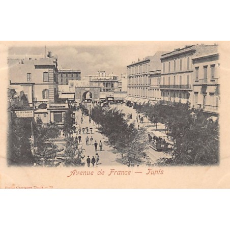 Rare collectable postcards of Tunisia. Vintage Postcards of Tunisia