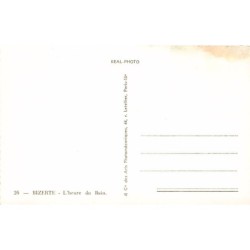 Rare collectable postcards of Tunisia. Vintage Postcards of Tunisia