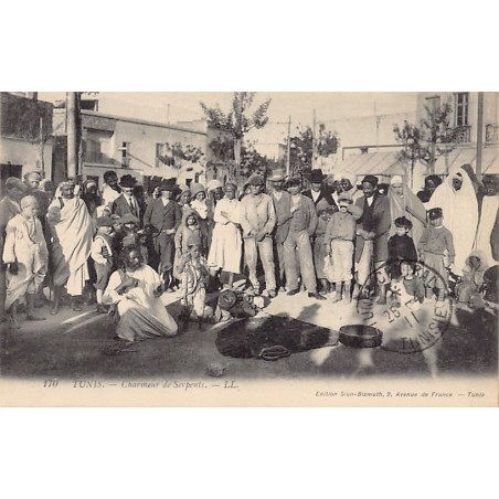 Rare collectable postcards of Tunisia. Vintage Postcards of Tunisia