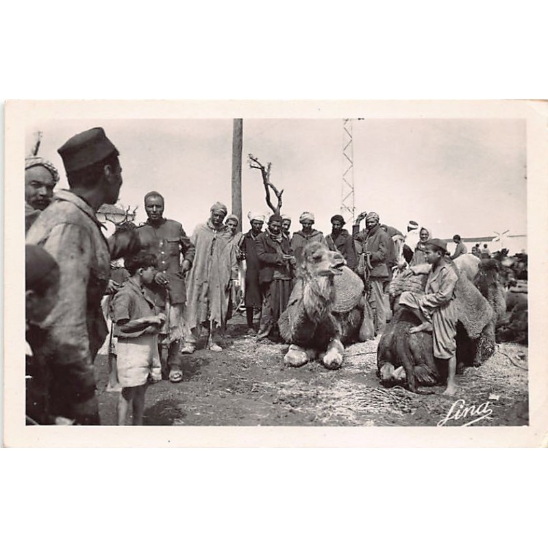 Rare collectable postcards of Tunisia. Vintage Postcards of Tunisia