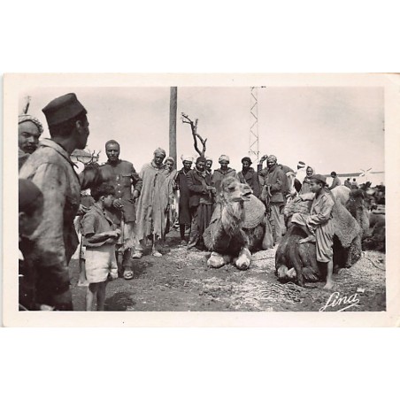 Rare collectable postcards of Tunisia. Vintage Postcards of Tunisia