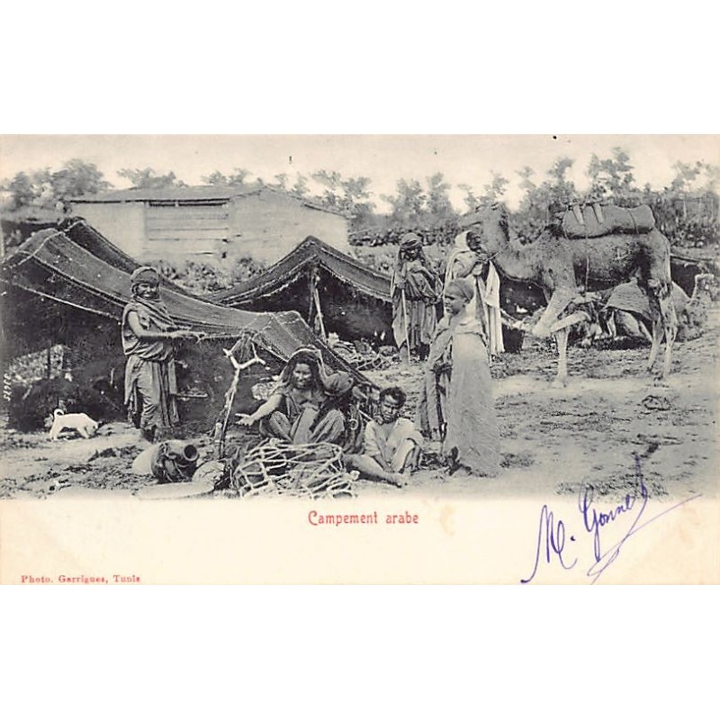 Rare collectable postcards of Tunisia. Vintage Postcards of Tunisia