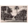 Rare collectable postcards of Tunisia. Vintage Postcards of Tunisia
