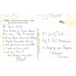 Rare collectable postcards of Tunisia. Vintage Postcards of Tunisia