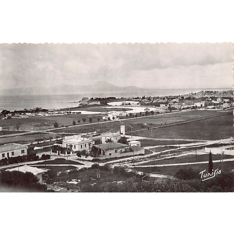 Rare collectable postcards of Tunisia. Vintage Postcards of Tunisia