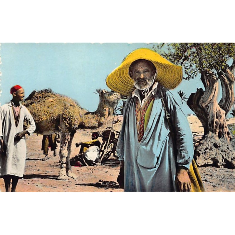 Rare collectable postcards of Tunisia. Vintage Postcards of Tunisia