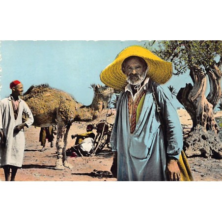 Rare collectable postcards of Tunisia. Vintage Postcards of Tunisia