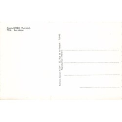 Rare collectable postcards of Tunisia. Vintage Postcards of Tunisia