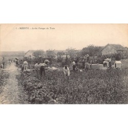 Rare collectable postcards of Tunisia. Vintage Postcards of Tunisia