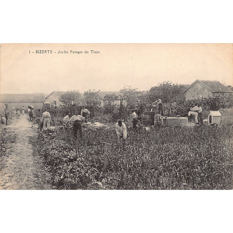 Rare collectable postcards of Tunisia. Vintage Postcards of Tunisia