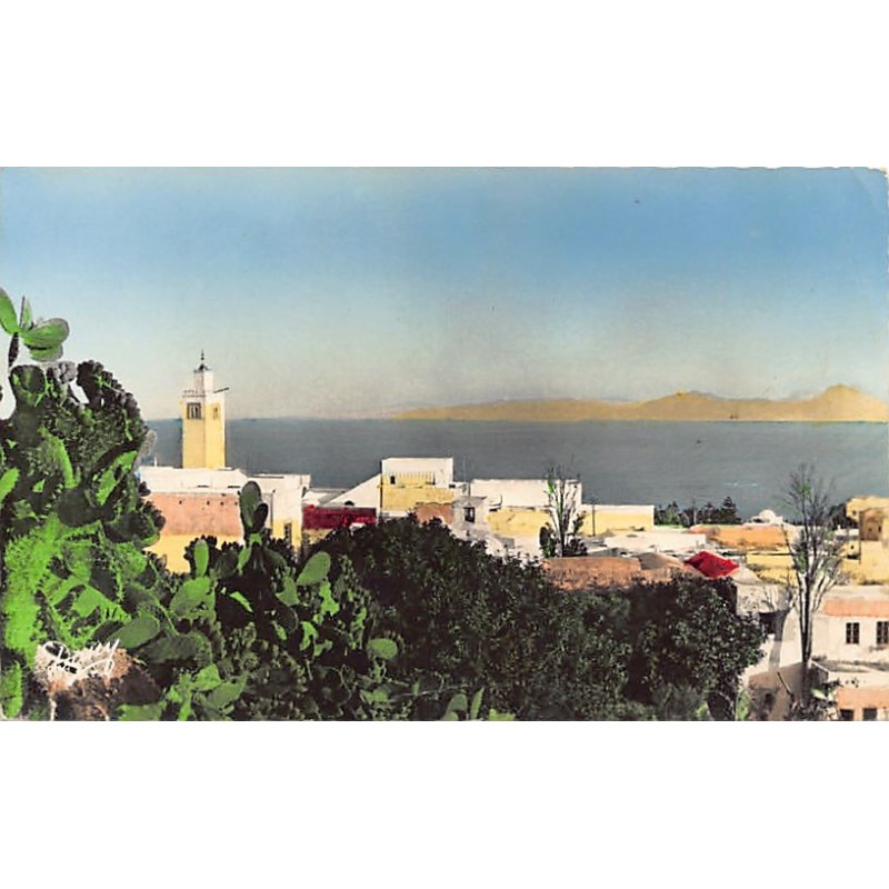 Rare collectable postcards of Tunisia. Vintage Postcards of Tunisia