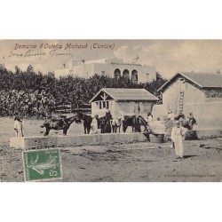 Rare collectable postcards of Tunisia. Vintage Postcards of Tunisia