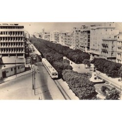 Rare collectable postcards of Tunisia. Vintage Postcards of Tunisia