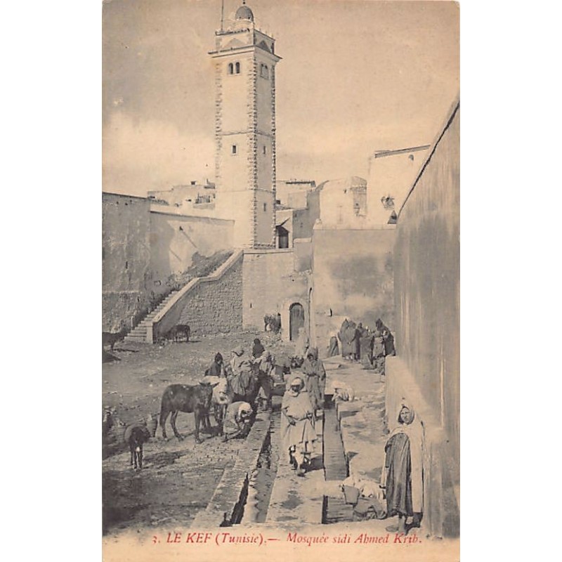 Rare collectable postcards of Tunisia. Vintage Postcards of Tunisia