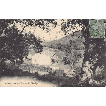 Rare collectable postcards of Tunisia. Vintage Postcards of Tunisia