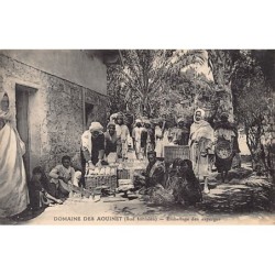 Rare collectable postcards of Tunisia. Vintage Postcards of Tunisia