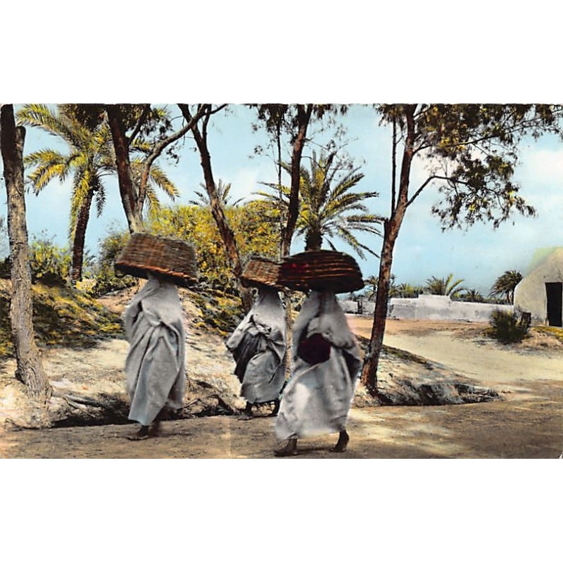 Rare collectable postcards of Tunisia. Vintage Postcards of Tunisia