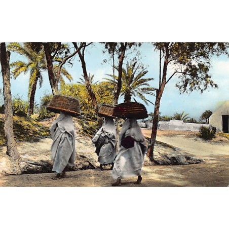 Rare collectable postcards of Tunisia. Vintage Postcards of Tunisia